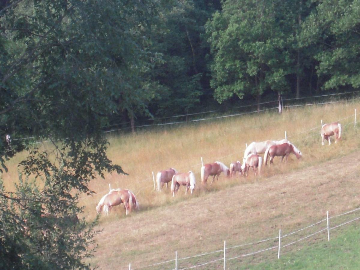 Haflingerhof Luef Villa Bad Schönau Exteriör bild