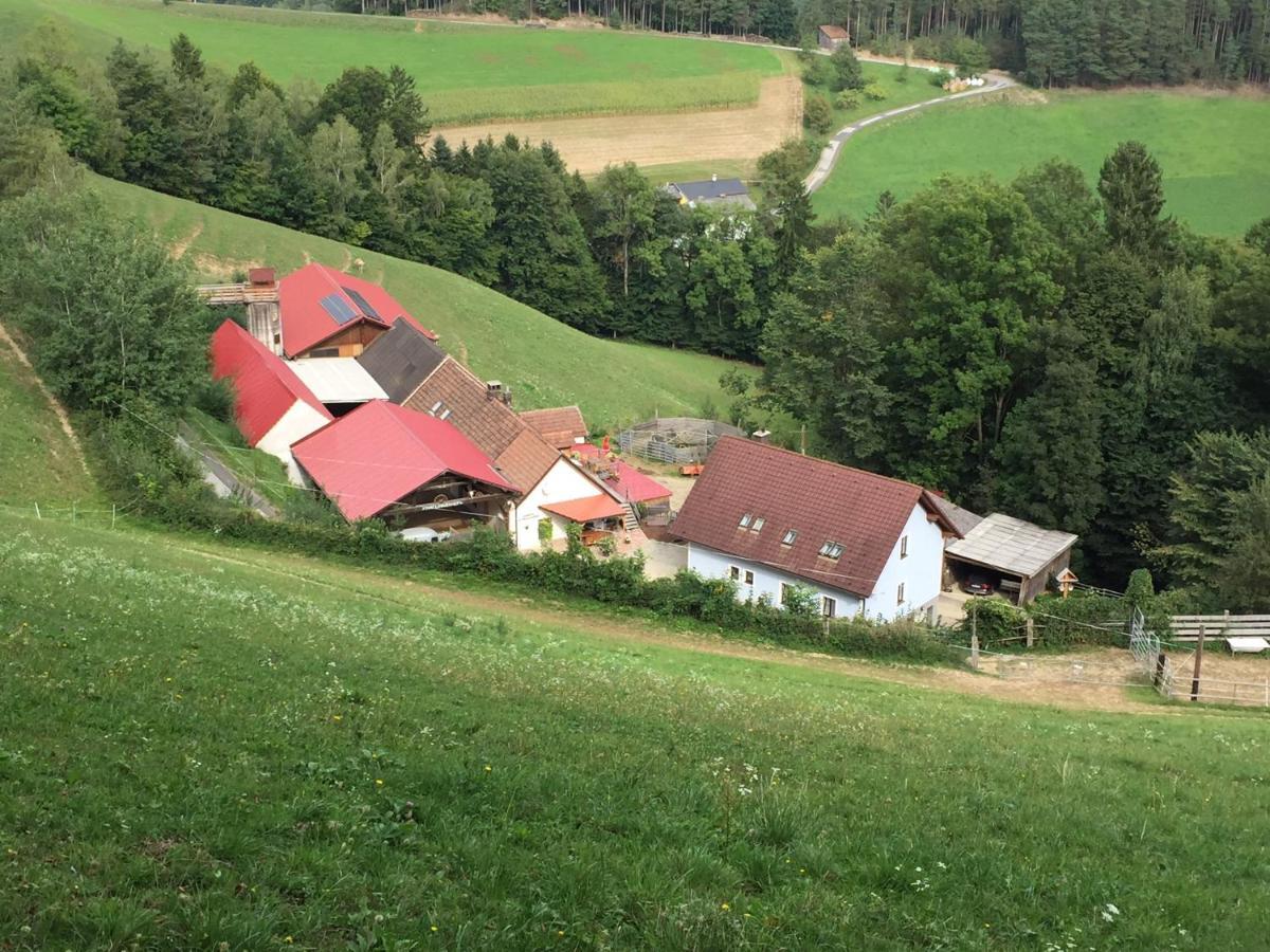 Haflingerhof Luef Villa Bad Schönau Exteriör bild