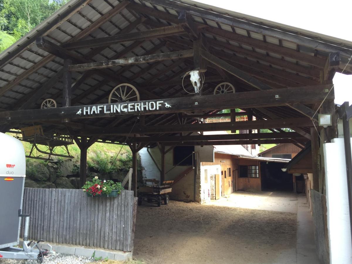 Haflingerhof Luef Villa Bad Schönau Exteriör bild
