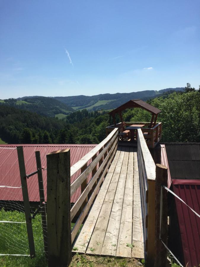 Haflingerhof Luef Villa Bad Schönau Exteriör bild
