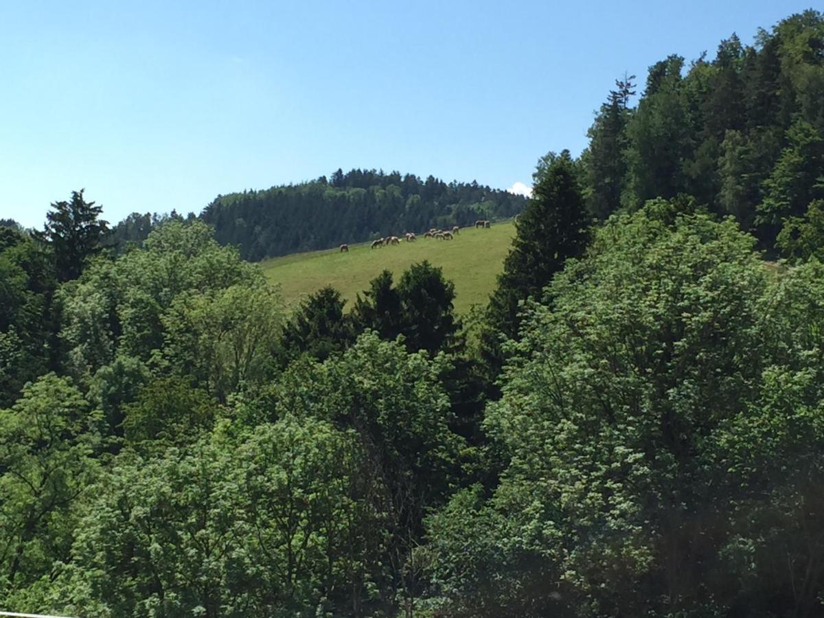 Haflingerhof Luef Villa Bad Schönau Exteriör bild